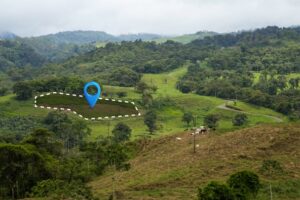 Why Plots in Trivandrum are a Smart Investment in 2025